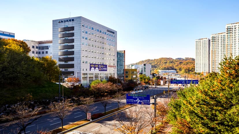 뉴고려병원장례식장