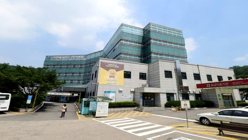 국화향기